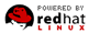 Web Hosting using redhat Linux!